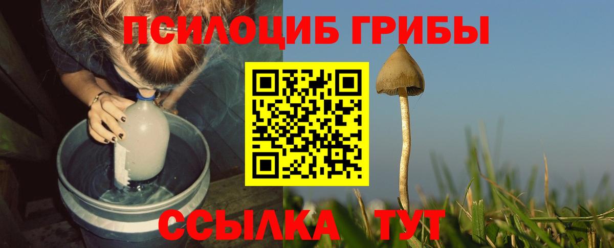 Галлюциногенные грибы GOLDEN TEACHER  наркота  Кузнецк  Вход с VPN  Псилоцибиновые грибы GOLDEN TEACHER 